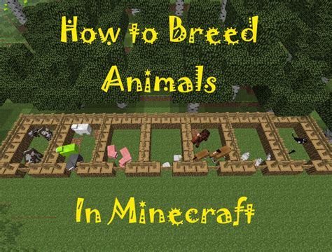 How Many Farm Animals In Minecraft